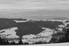 IMG_5737